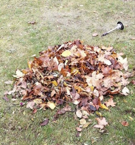 Laura's Gardening Services gallery image 10