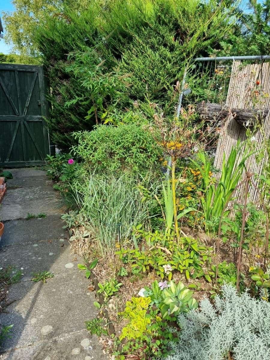 Laura's Gardening Services gallery image