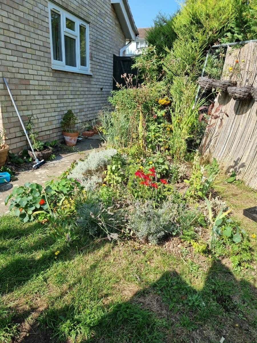 Laura's Gardening Services gallery image